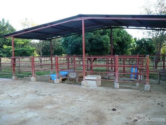 SE VENDE PRECIOSA FINCA EN DIRIOMO, GRANA, NICARAGUA - 1
