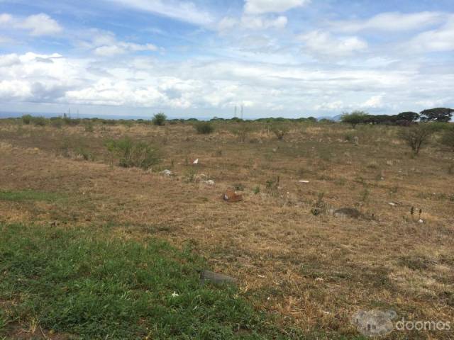 SE VENDE: 40 MANZANAS EN CARRETERA TIPITAPA A SAN BENITO - 1