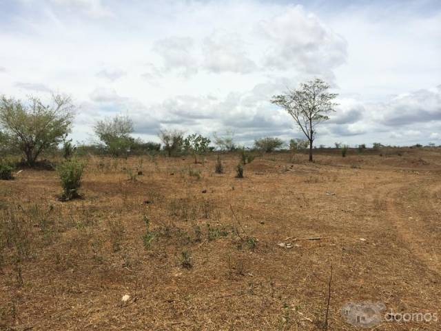 SE VENDE: 40 MANZANAS EN CARRETERA TIPITAPA A SAN BENITO - 3