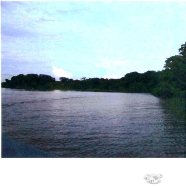 Vendo Isla en Solentiname, San Carlos Rio San juan - 1