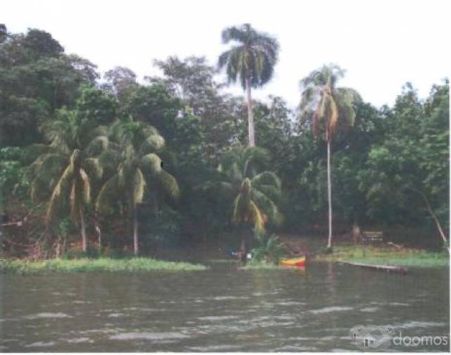 Vendo Isla en Solentiname, San Carlos Rio San juan - 2