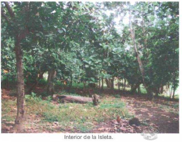 Vendo Isla en Solentiname, San Carlos Rio San juan - 4