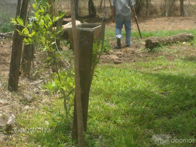 VENDO 7 MANZANAS APTAS PARA CULTIVO Y GANADO. EXCELENTE UBICACION - 6
