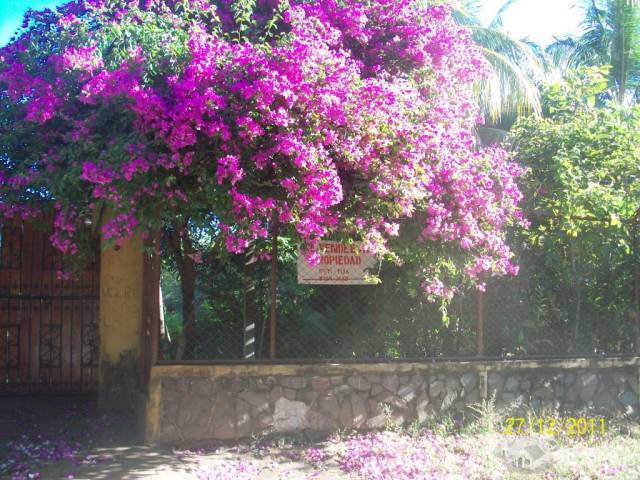 Se vende linda Finca en el Municipio de Chichigalpa... - 1