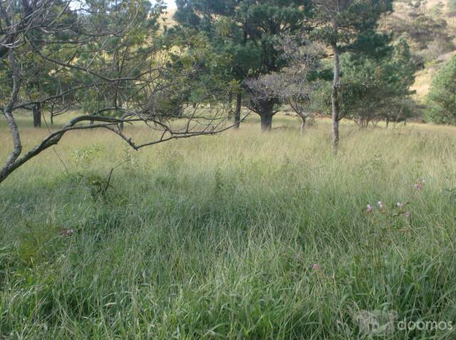 Se vende finca - 2