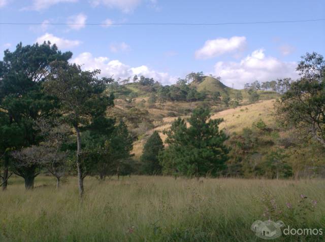 Se vende finca - 3