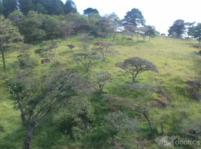 Se vende finca - 4