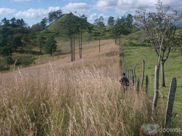 Se vende finca - 5