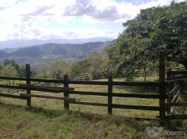 Se vende finca - 7