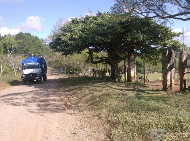Se vende finca - 8