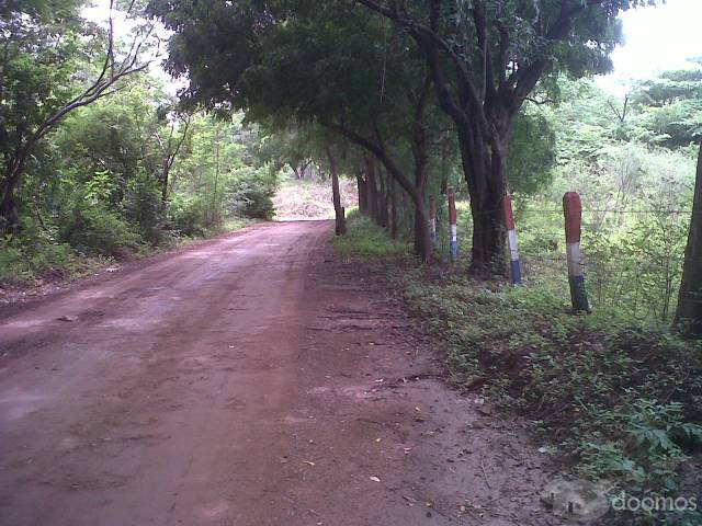 LOTIFICACION, venta de Lotes - 1