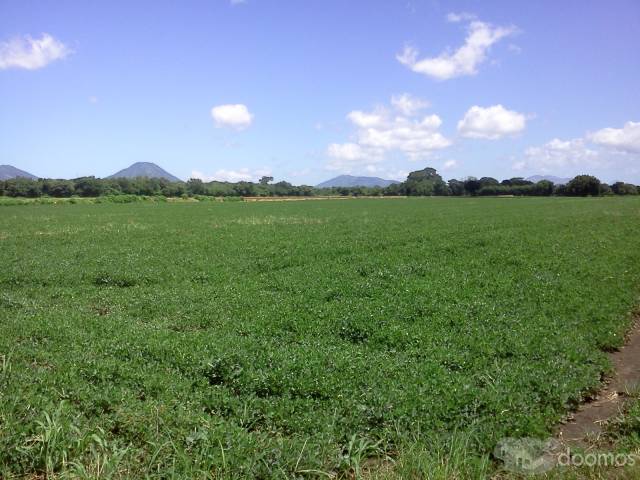 Finca en Venta - 1