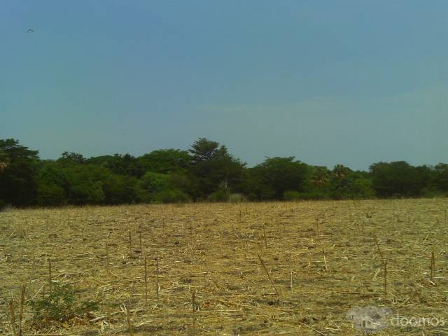 FINCAS DE TODOS LOS TAMAÑOS, UBICACIONES Y PRECIOS EN TODO CHINANDEGA, LEON Y MATAGALPA. - 1